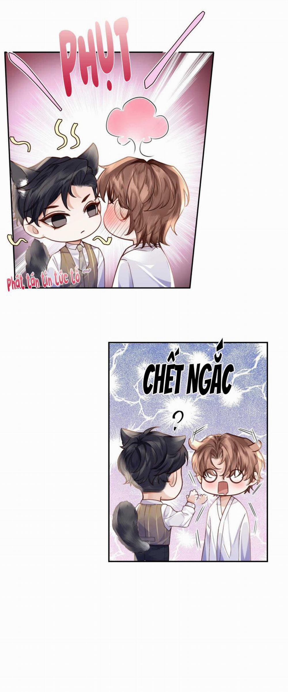 Tổng Tài Định Chế Tư Nhân 16 trang 13