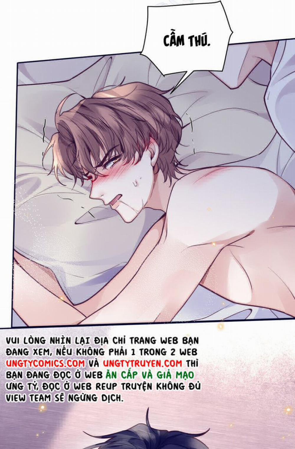 Tổng Tài Định Chế Tư Nhân 17 trang 13