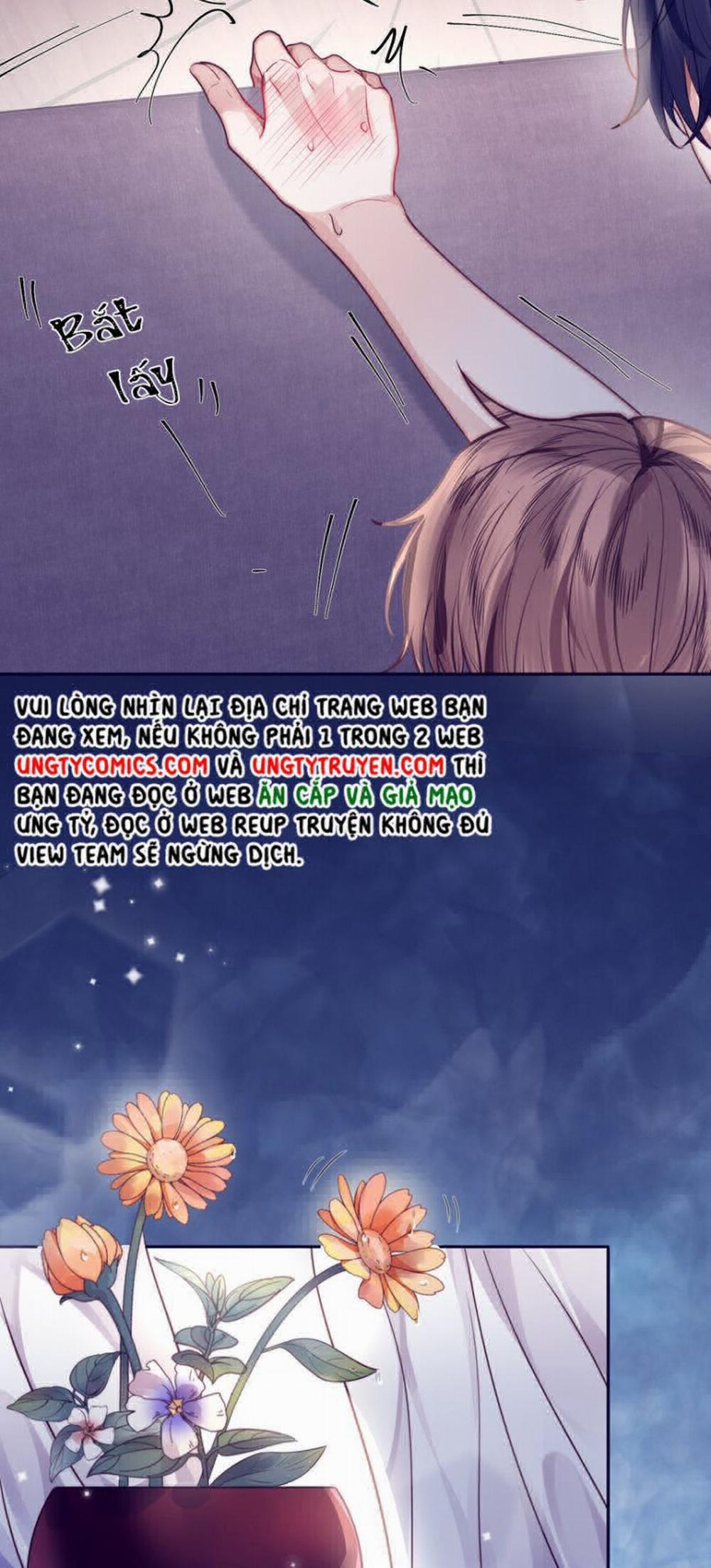 Tổng Tài Định Chế Tư Nhân 17 trang 21