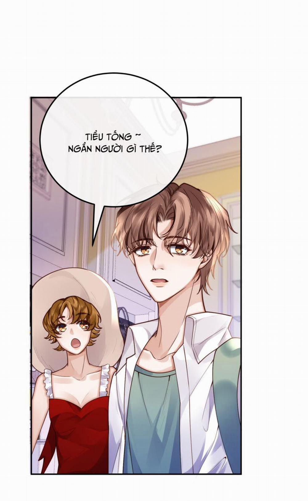 Tổng Tài Định Chế Tư Nhân 18 trang 33