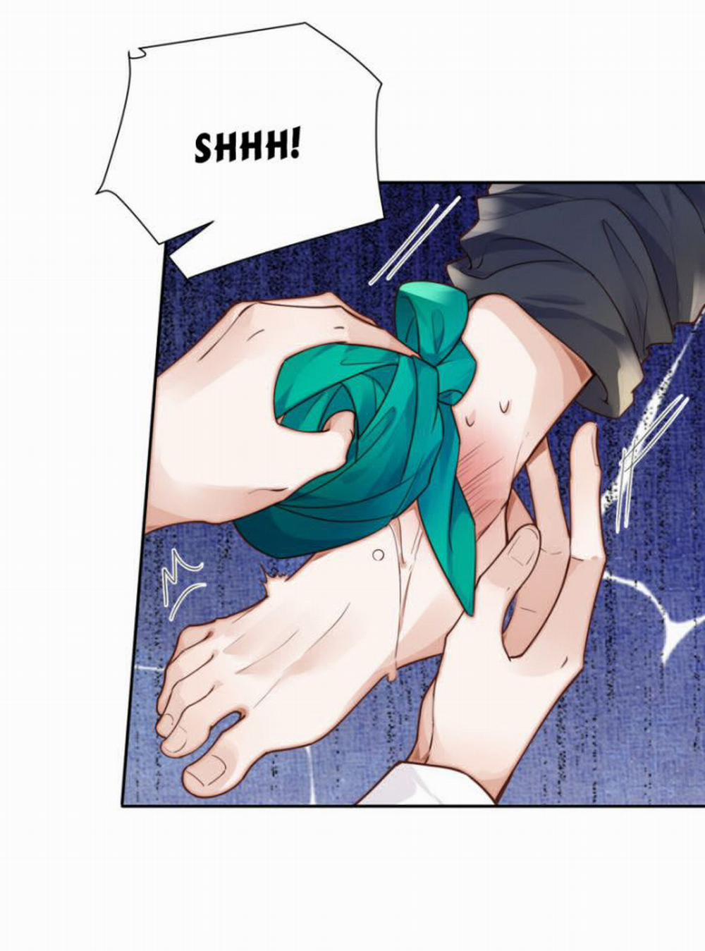 Tổng Tài Định Chế Tư Nhân 22 trang 12