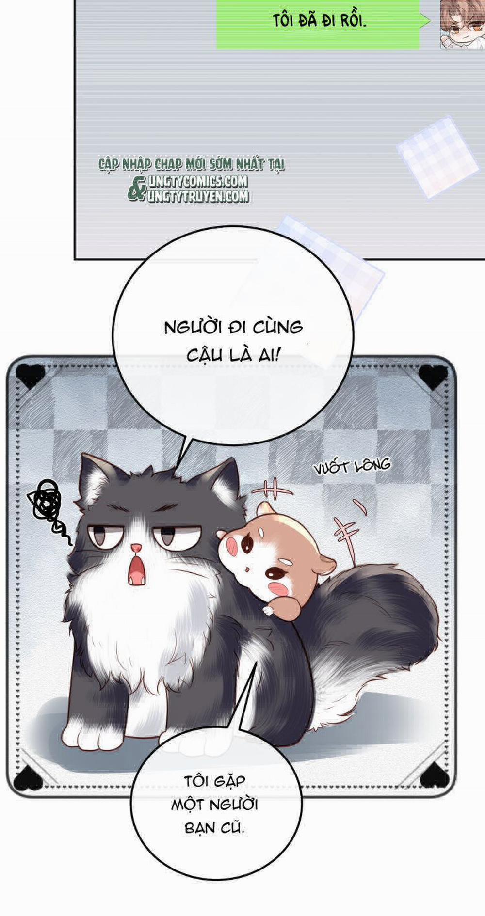 Tổng Tài Định Chế Tư Nhân 23 trang 4