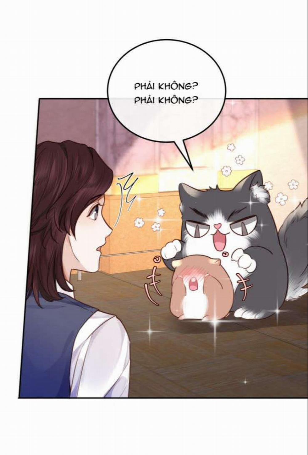 Tổng Tài Định Chế Tư Nhân 24 trang 20