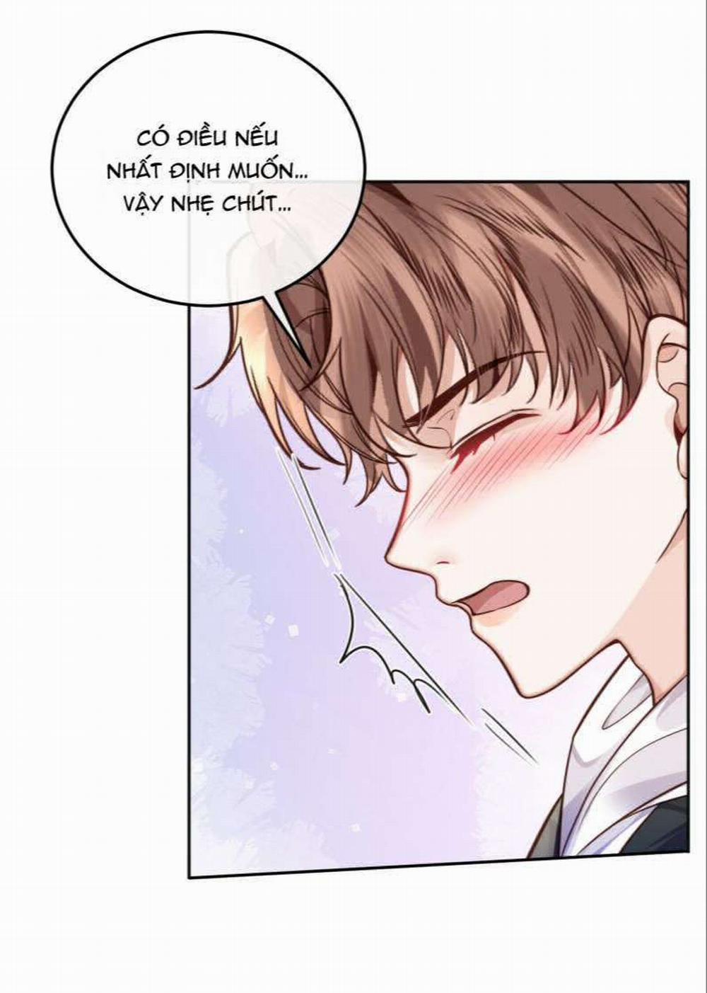 Tổng Tài Định Chế Tư Nhân 25 trang 22