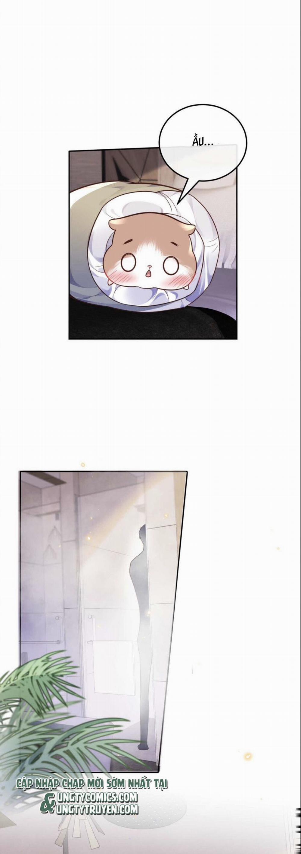 Tổng Tài Định Chế Tư Nhân 26 trang 3