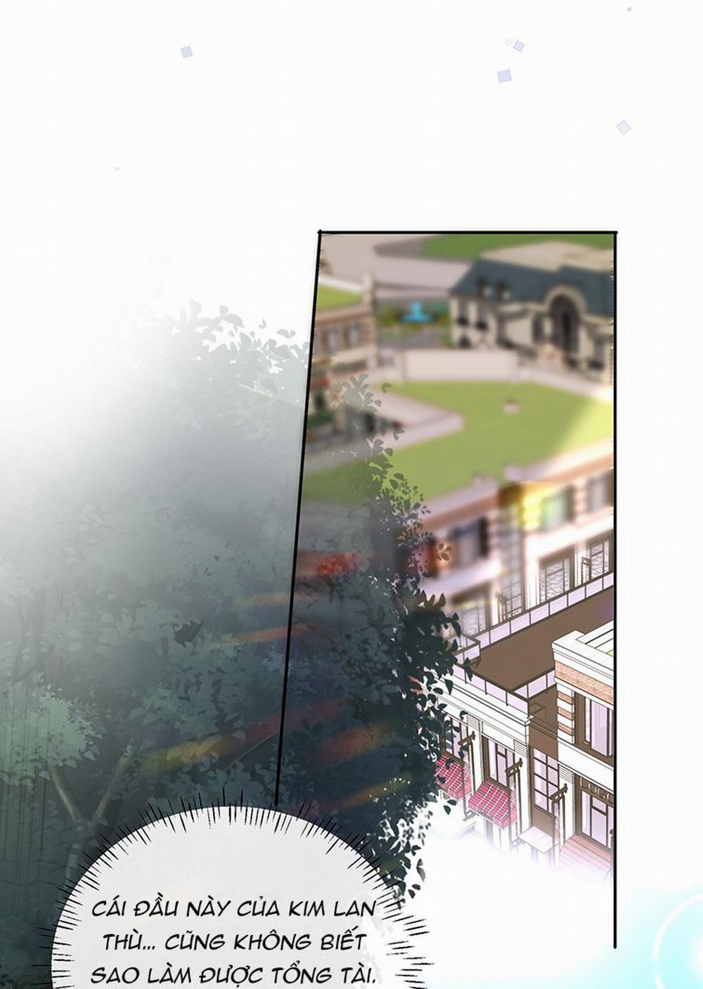 Tổng Tài Định Chế Tư Nhân 27 trang 21