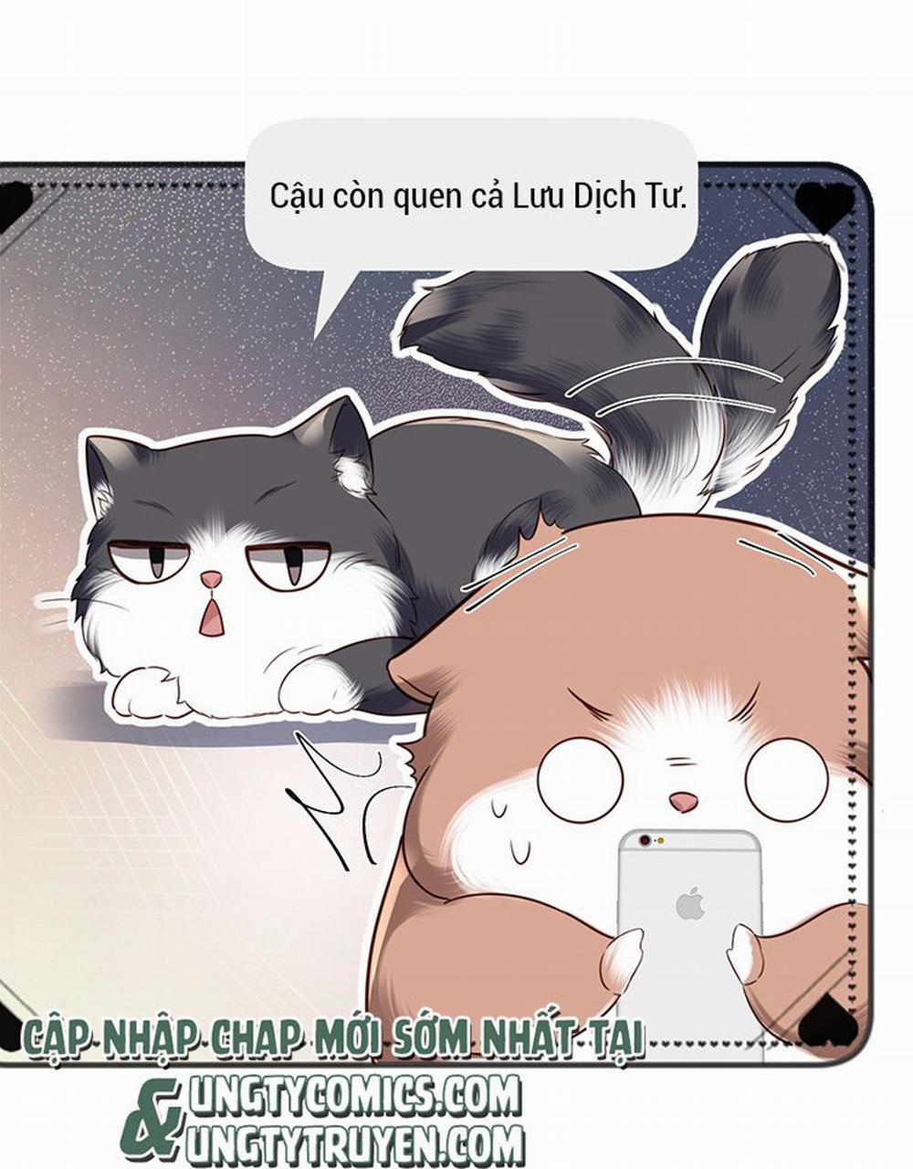 Tổng Tài Định Chế Tư Nhân 27 trang 39