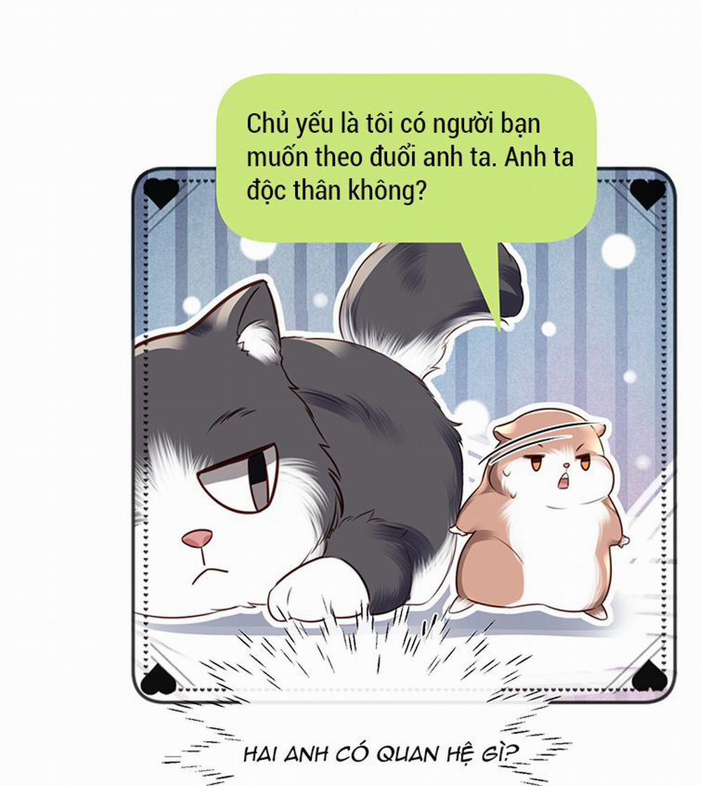 Tổng Tài Định Chế Tư Nhân 27 trang 40