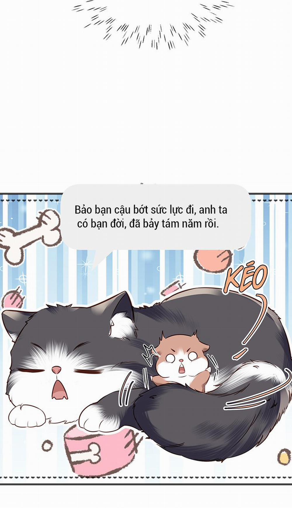 Tổng Tài Định Chế Tư Nhân 27 trang 41