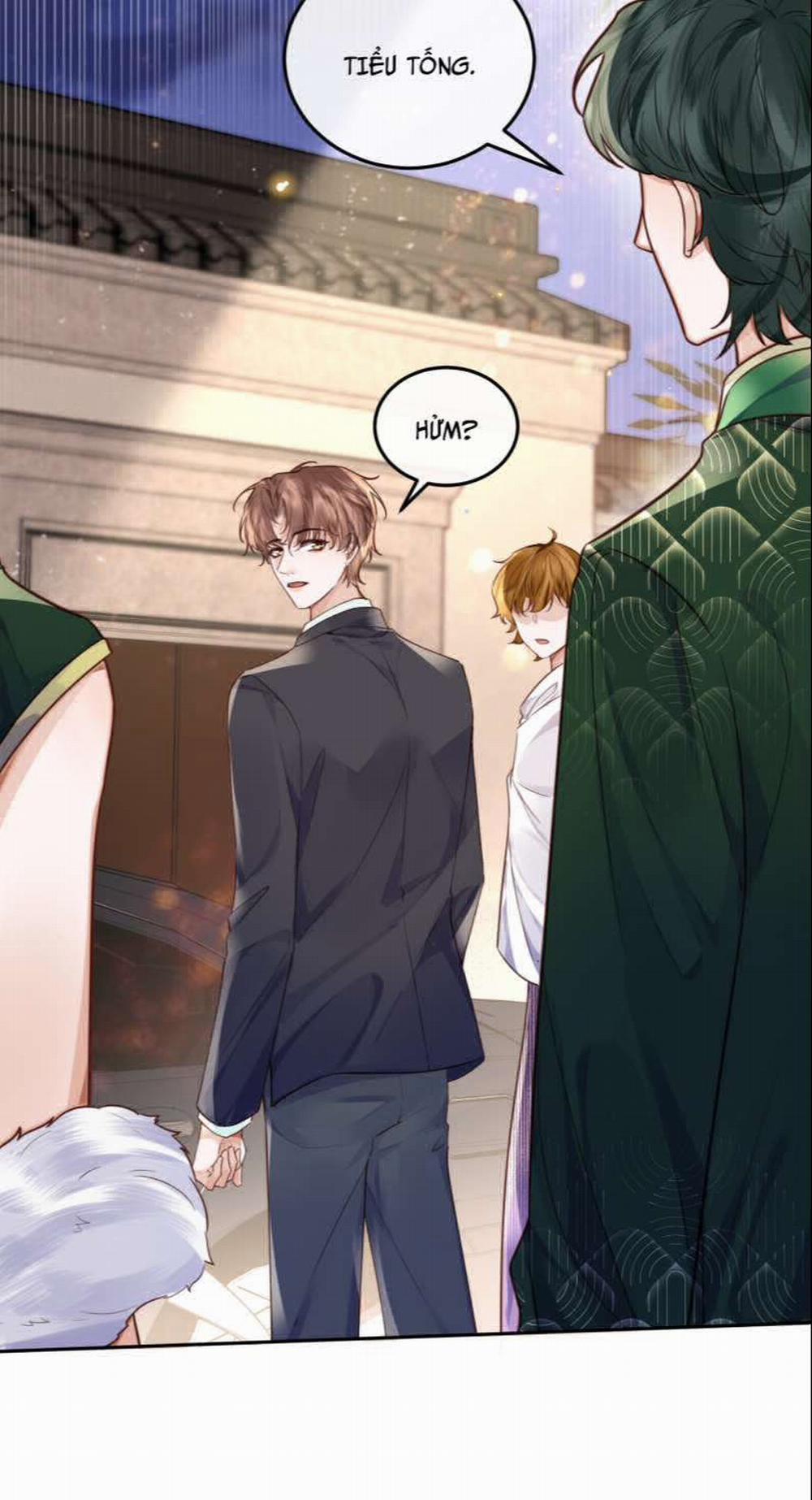 Tổng Tài Định Chế Tư Nhân 28 trang 21