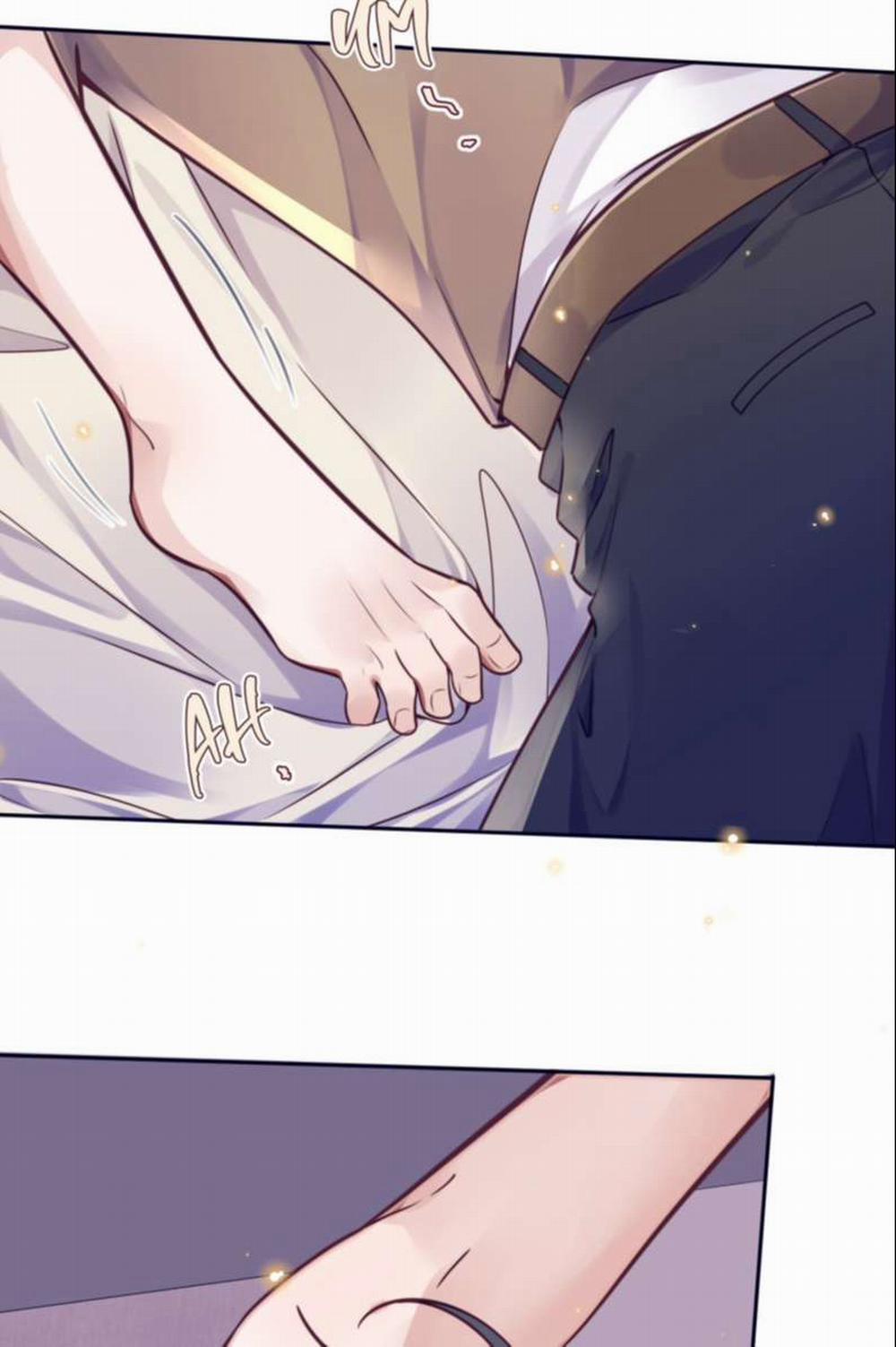 Tổng Tài Định Chế Tư Nhân 31 trang 11