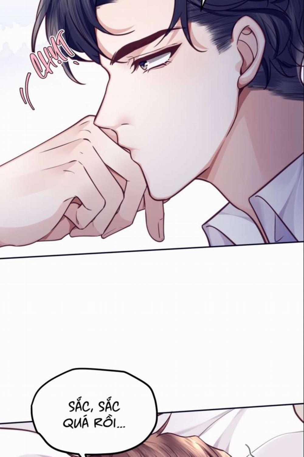 Tổng Tài Định Chế Tư Nhân 31 trang 16