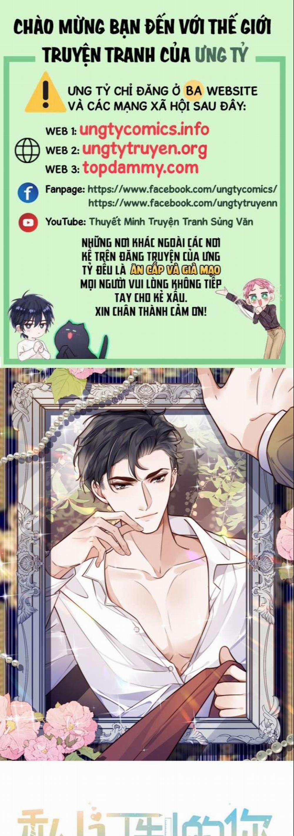 Tổng Tài Định Chế Tư Nhân 33 trang 0