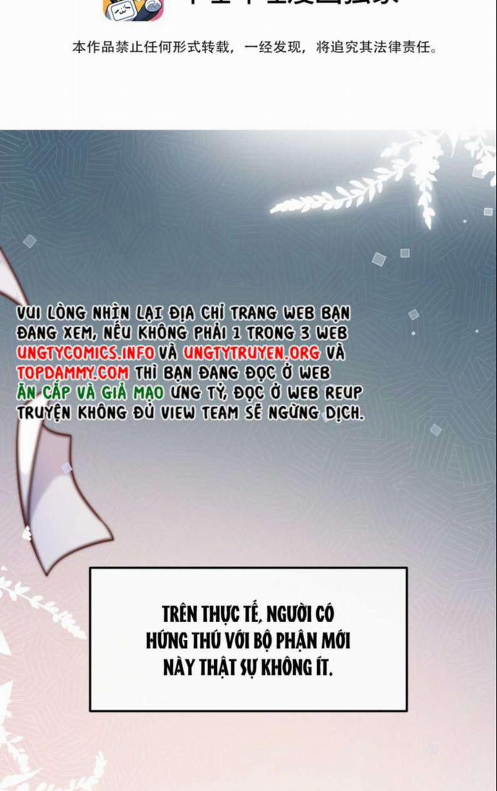 Tổng Tài Định Chế Tư Nhân 33 trang 2