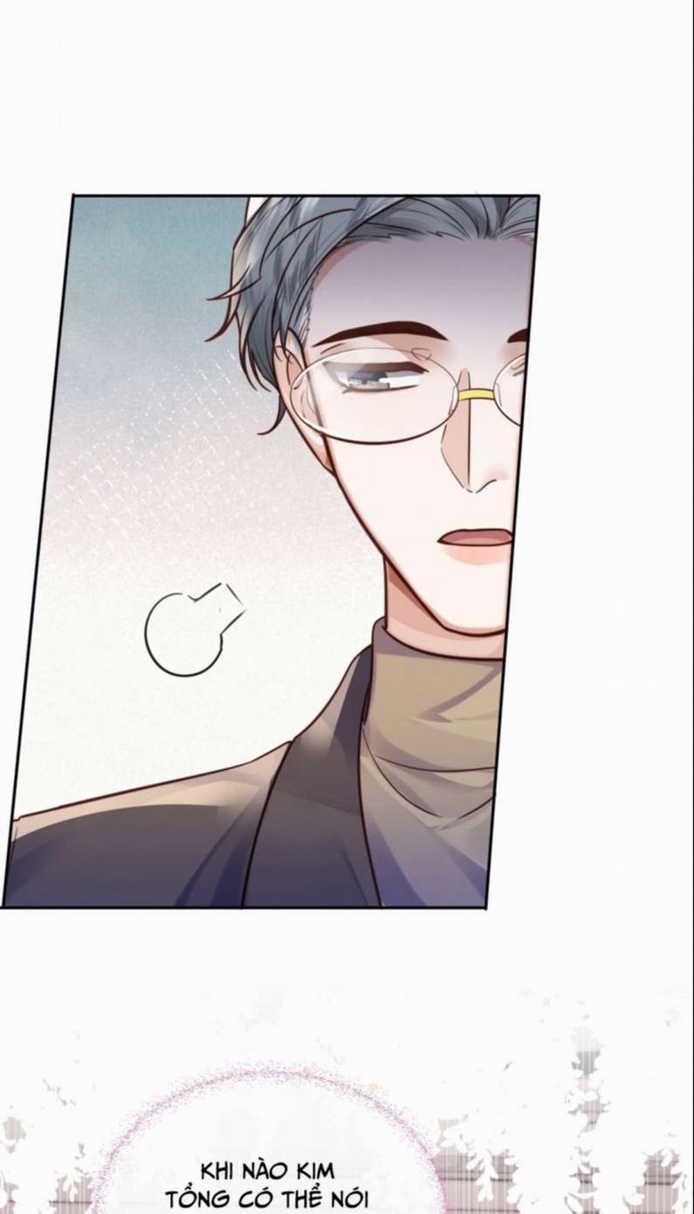 Tổng Tài Định Chế Tư Nhân 34 trang 31