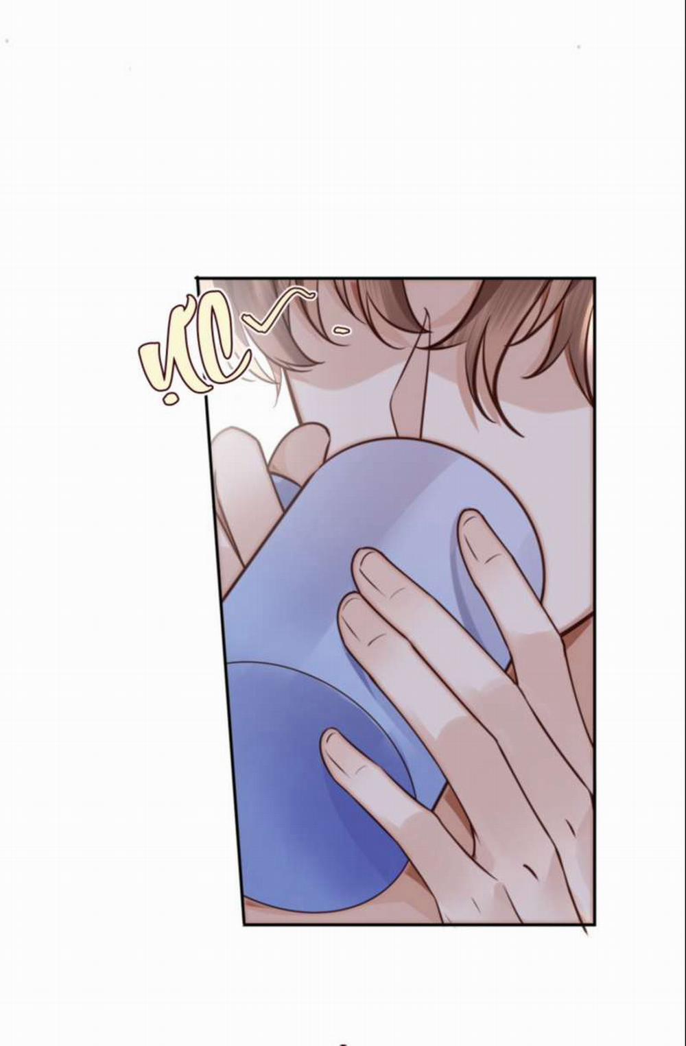 Tổng Tài Định Chế Tư Nhân 40 trang 12