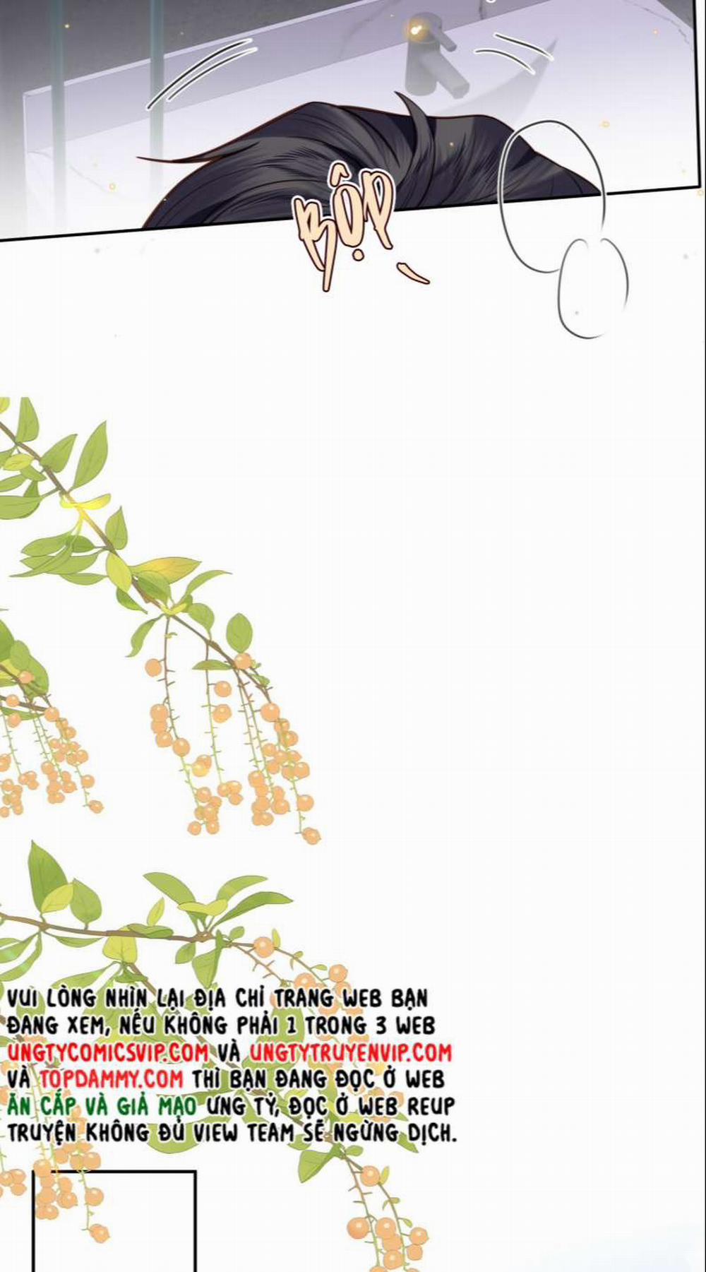 Tổng Tài Định Chế Tư Nhân 40 trang 33