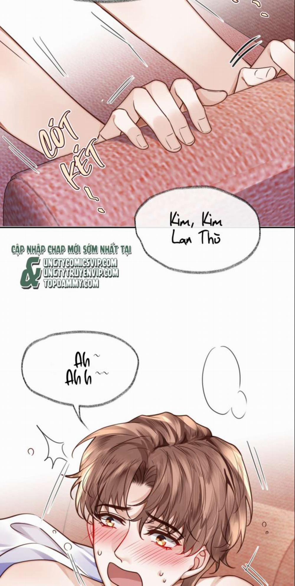 Tổng Tài Định Chế Tư Nhân 40 trang 4