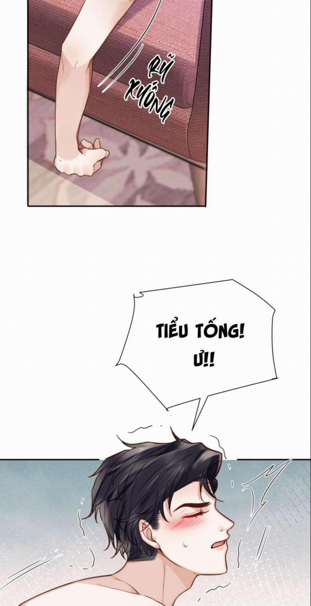 Tổng Tài Định Chế Tư Nhân 40 trang 6