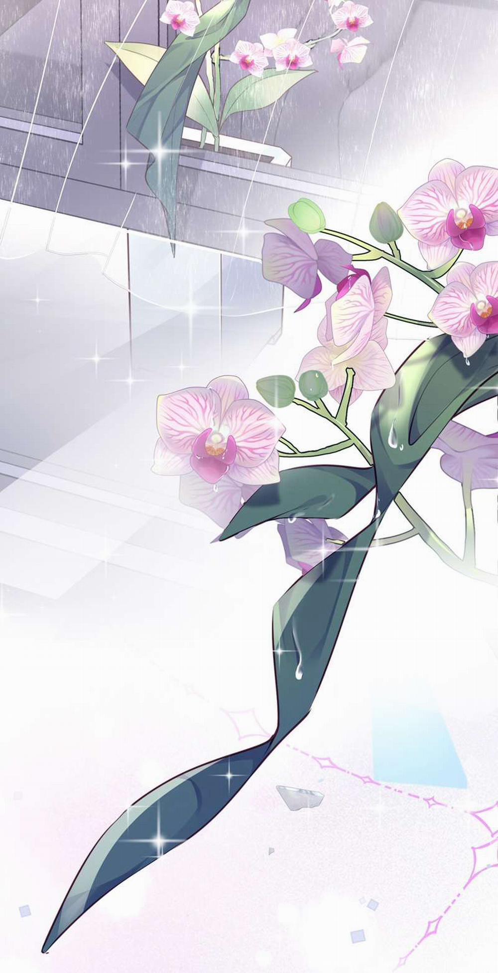 Tổng Tài Định Chế Tư Nhân 43 trang 41