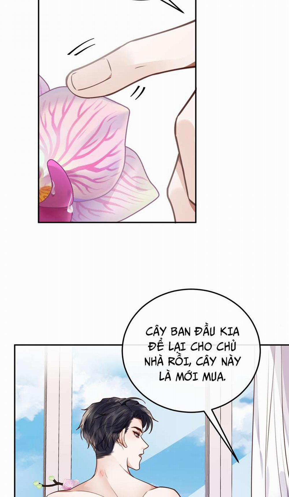 Tổng Tài Định Chế Tư Nhân 44 trang 24