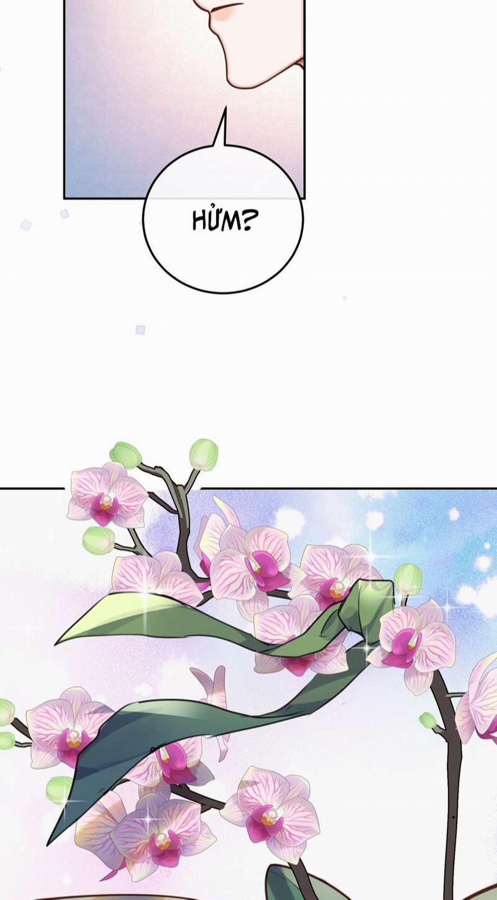 Tổng Tài Định Chế Tư Nhân 44 trang 4