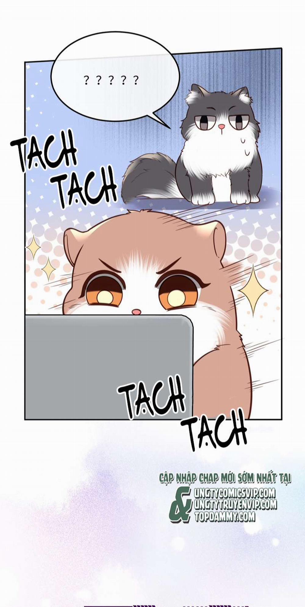 Tổng Tài Định Chế Tư Nhân 44 trang 40