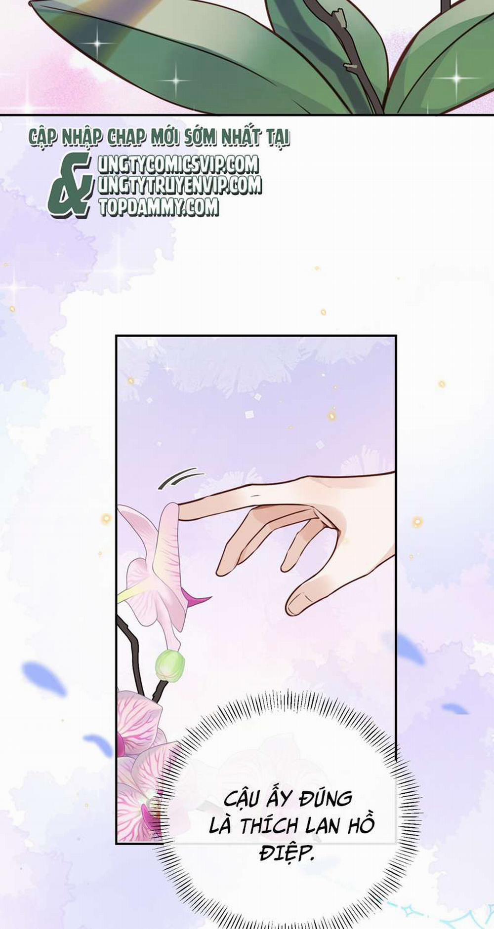 Tổng Tài Định Chế Tư Nhân 44 trang 5