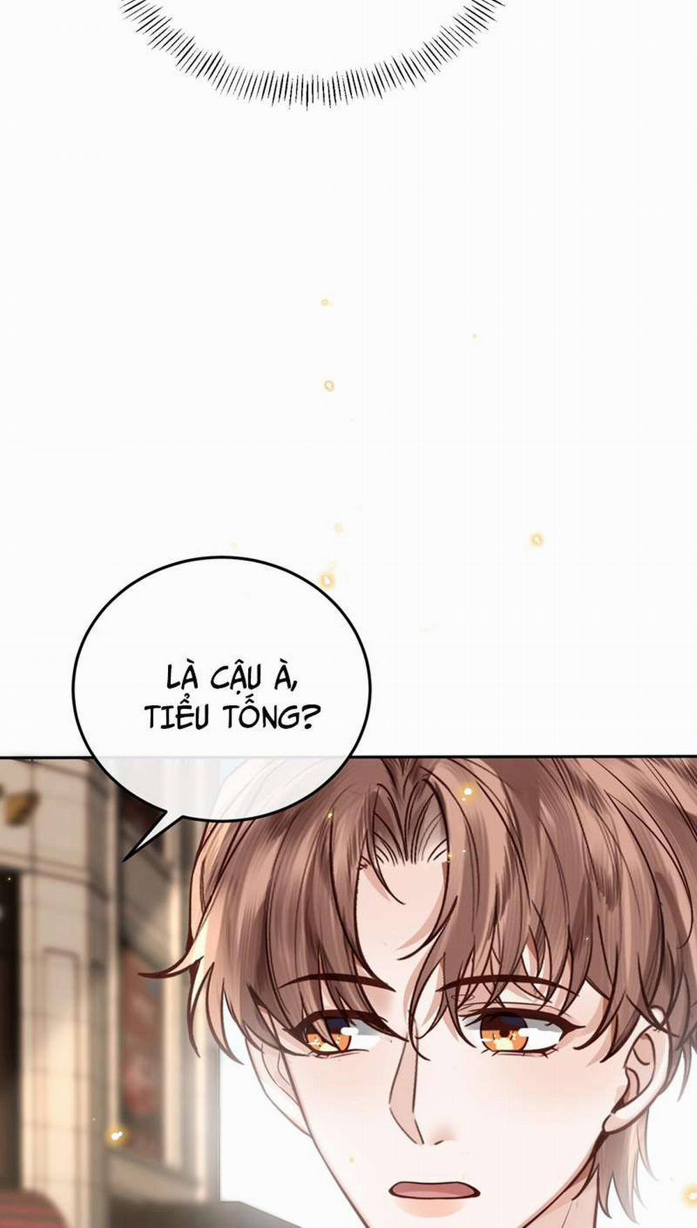 Tổng Tài Định Chế Tư Nhân 45 trang 38