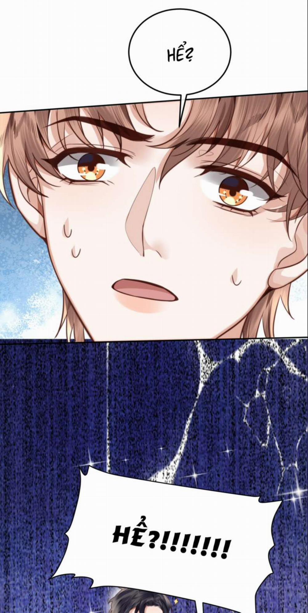 Tổng Tài Định Chế Tư Nhân 49 trang 2