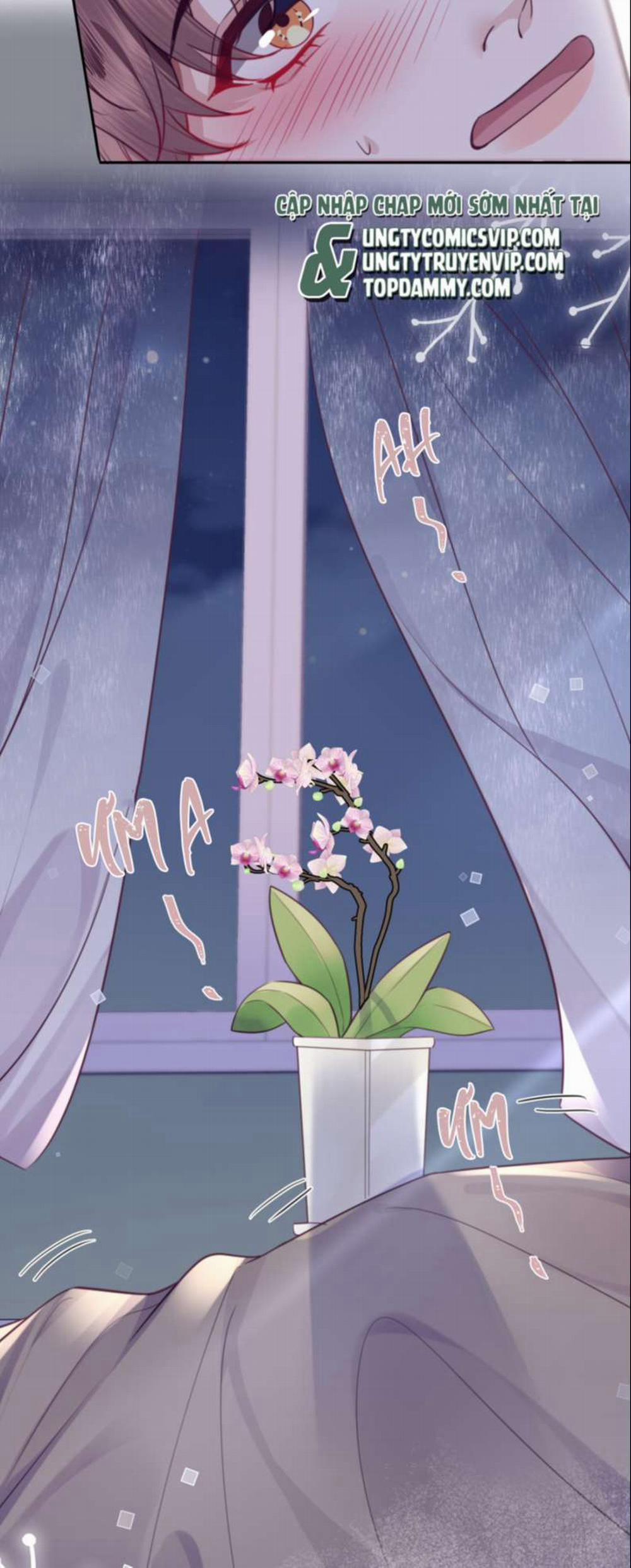 Tổng Tài Định Chế Tư Nhân 49 trang 31