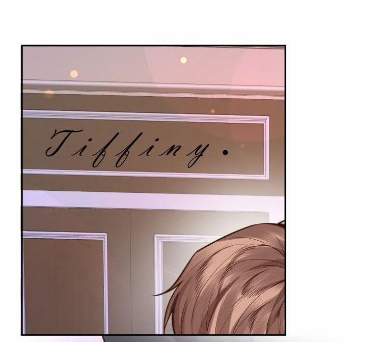 Tổng Tài Định Chế Tư Nhân 5 trang 20