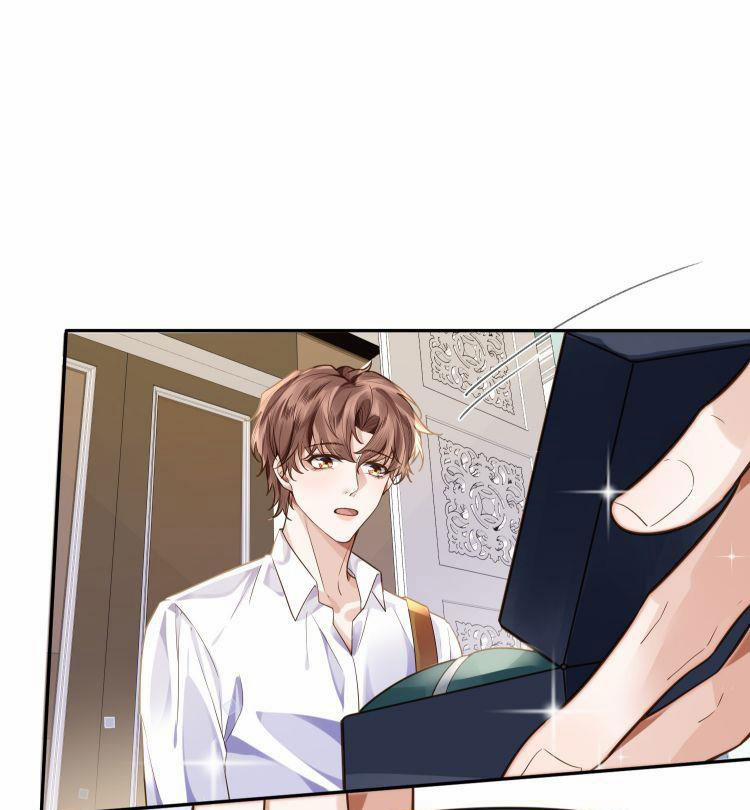 Tổng Tài Định Chế Tư Nhân 5 trang 26