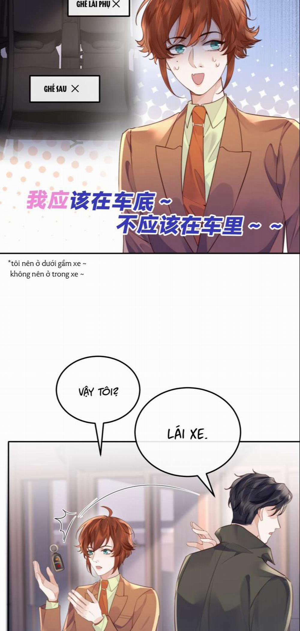 Tổng Tài Định Chế Tư Nhân 51 trang 12