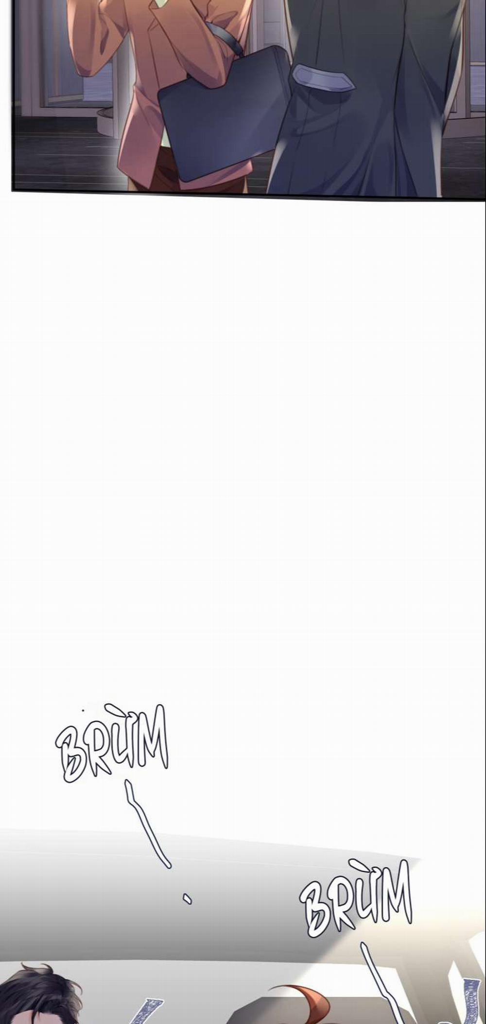 Tổng Tài Định Chế Tư Nhân 51 trang 13