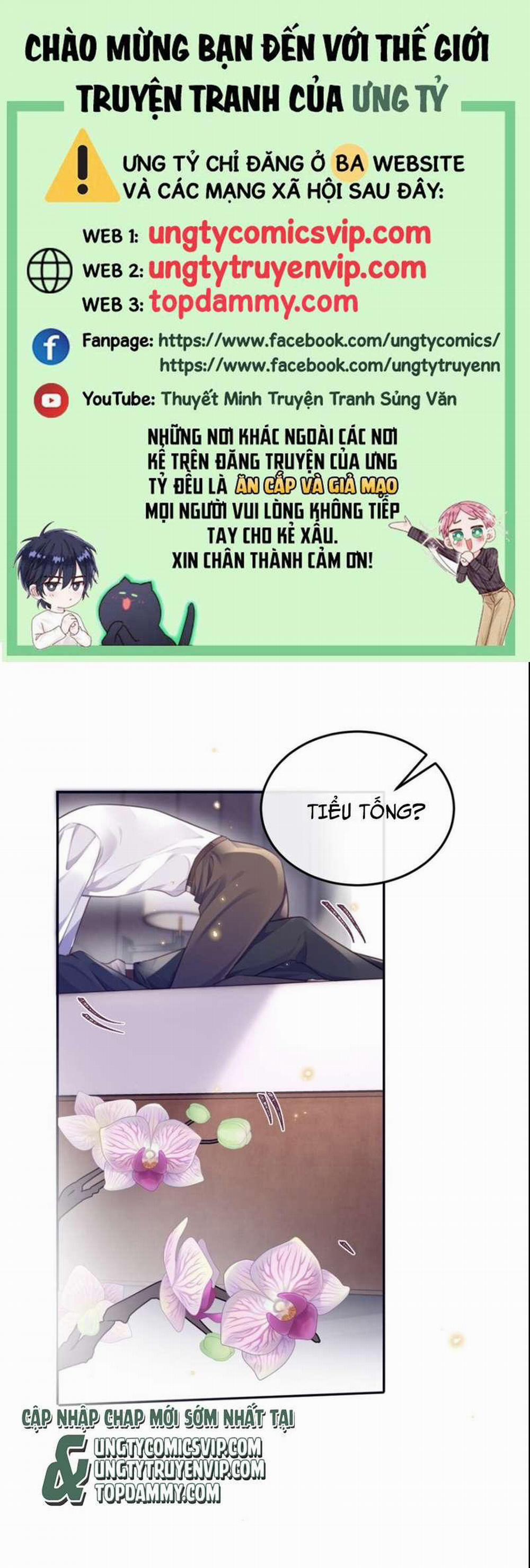 Tổng Tài Định Chế Tư Nhân 52 trang 0