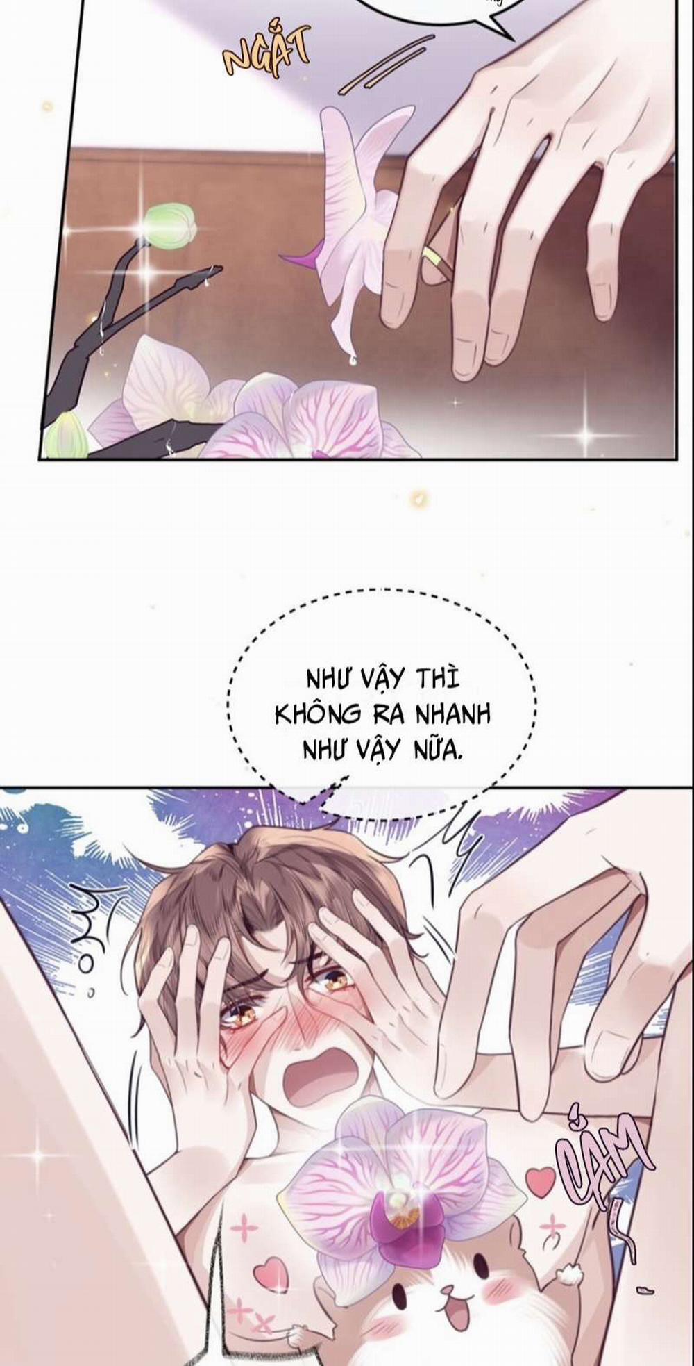 Tổng Tài Định Chế Tư Nhân 52 trang 22