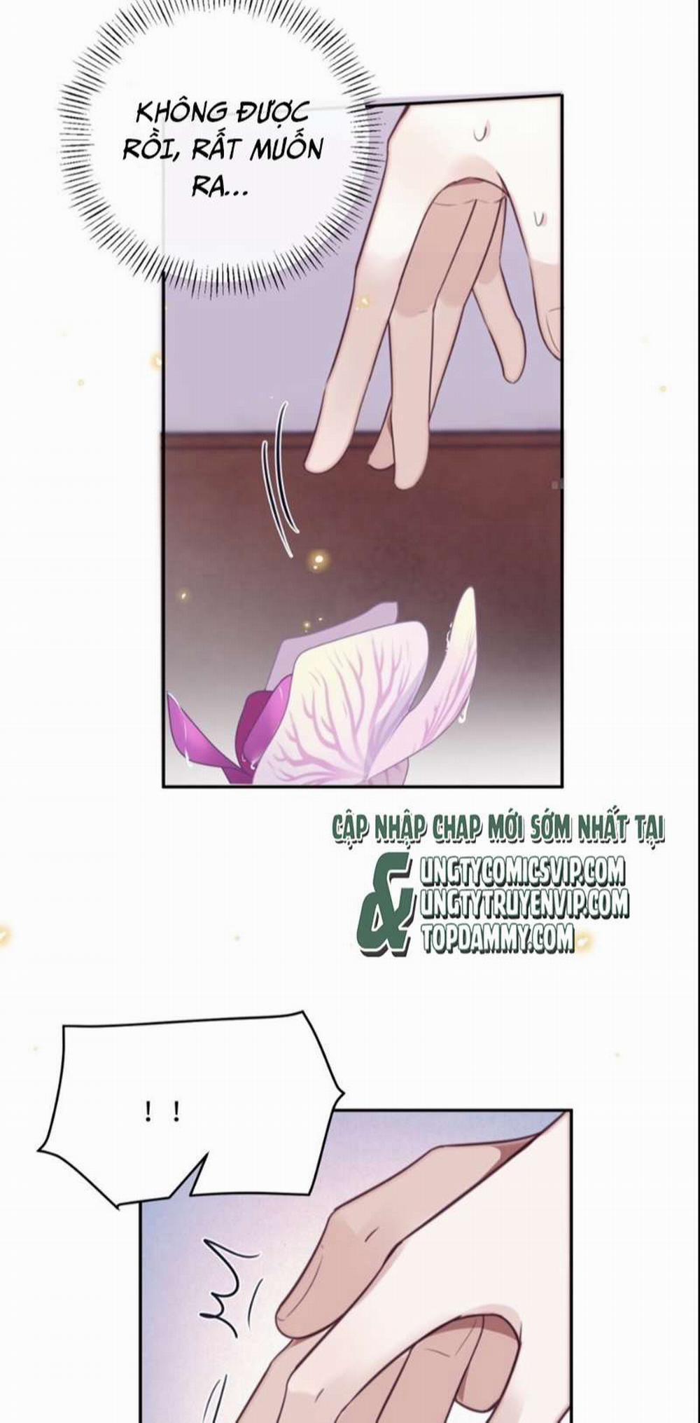 Tổng Tài Định Chế Tư Nhân 52 trang 31