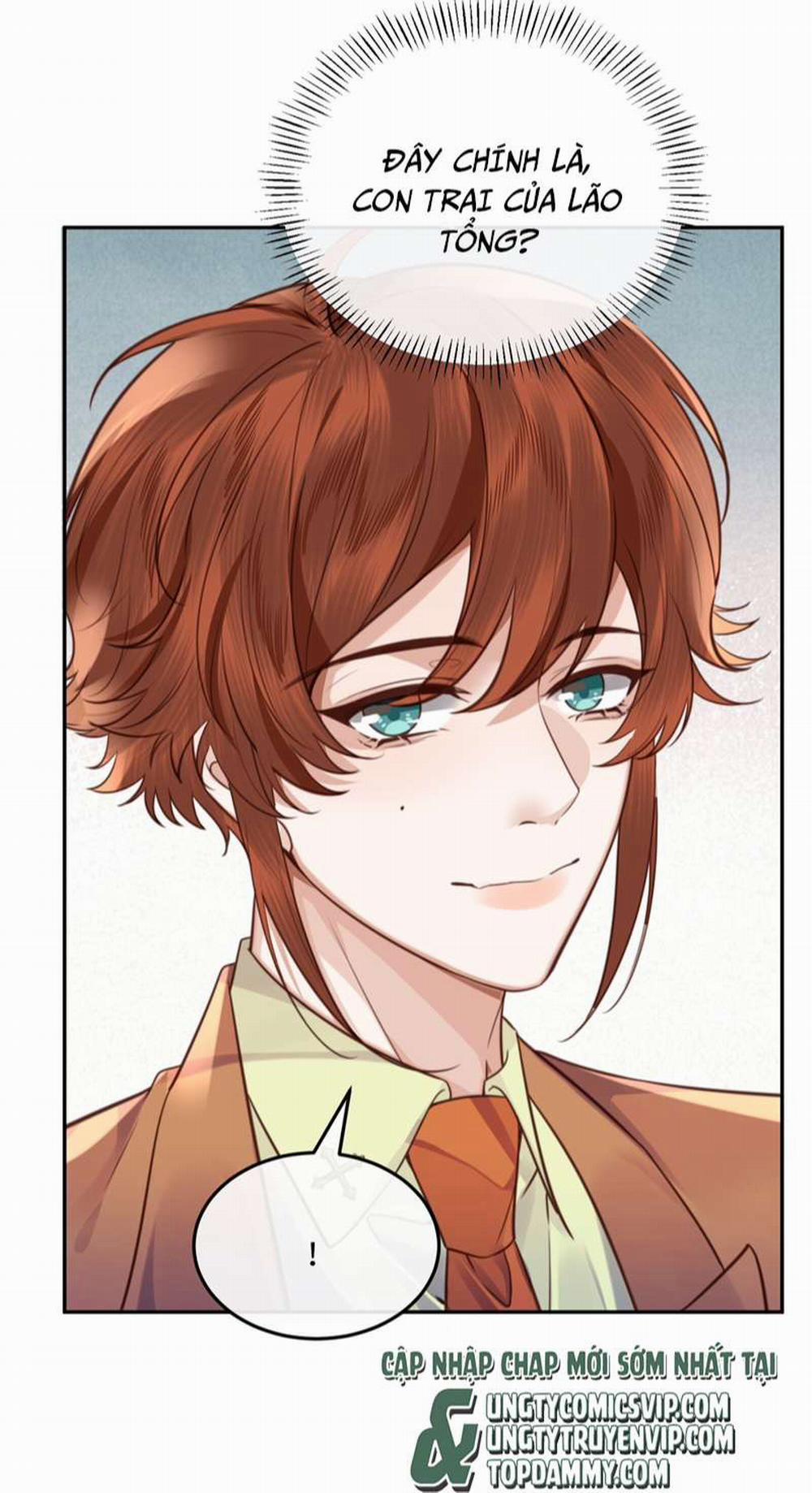 Tổng Tài Định Chế Tư Nhân 53 trang 10