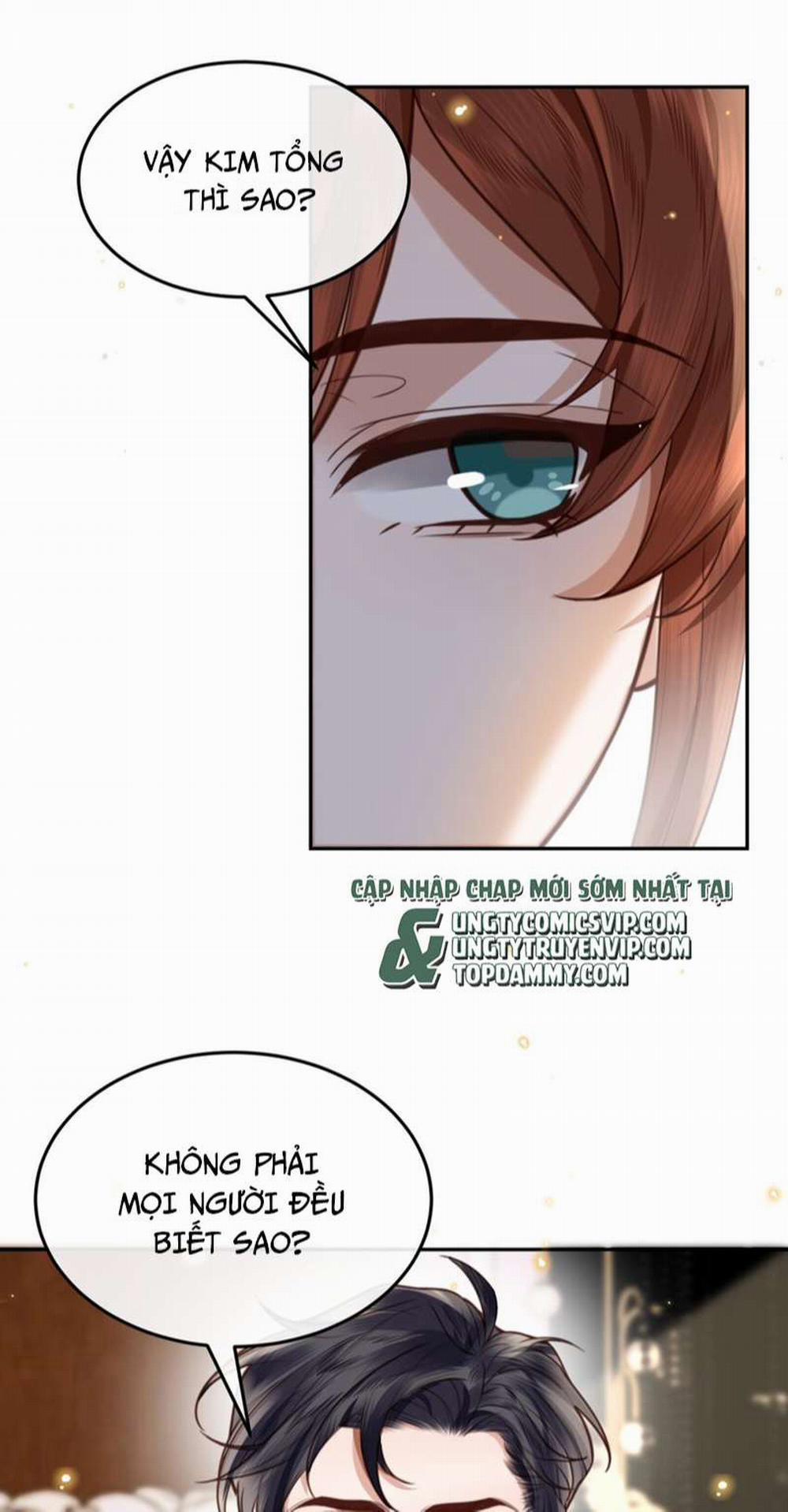 Tổng Tài Định Chế Tư Nhân 55 trang 29