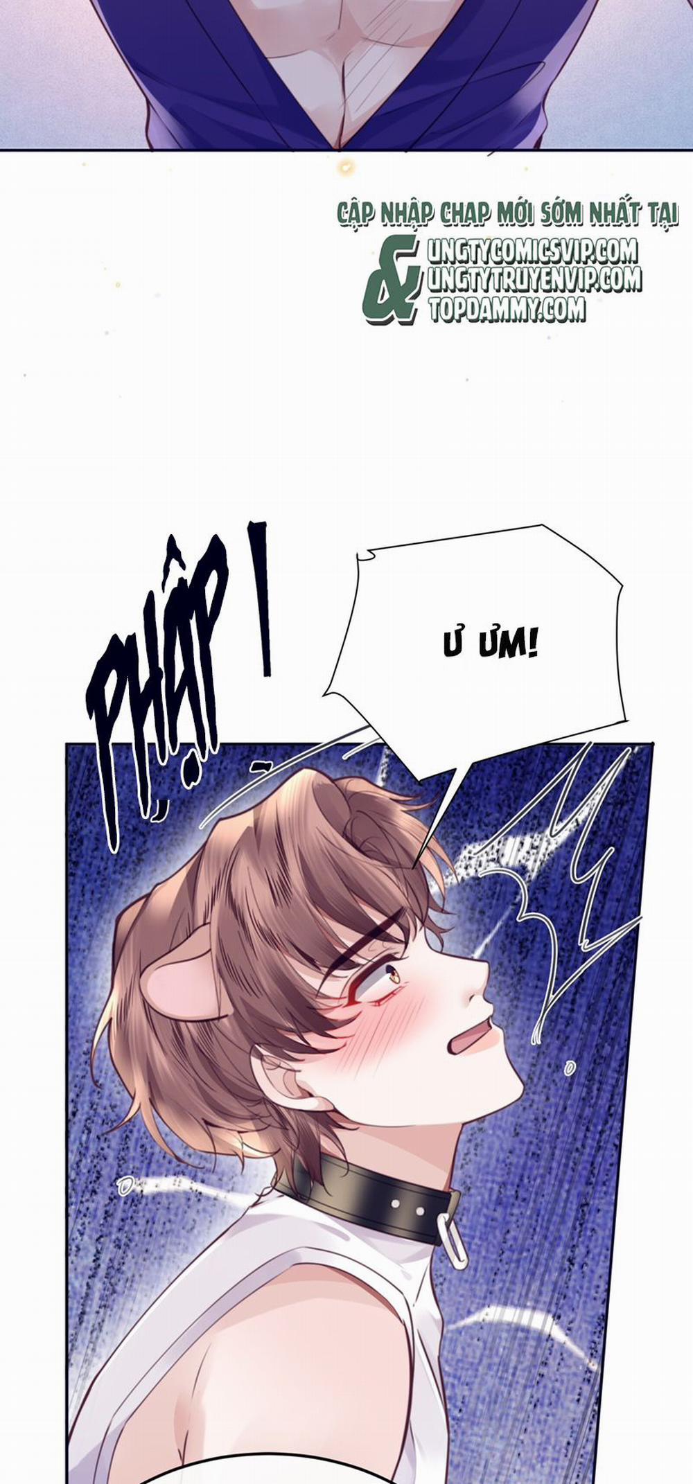 Tổng Tài Định Chế Tư Nhân 77 trang 27