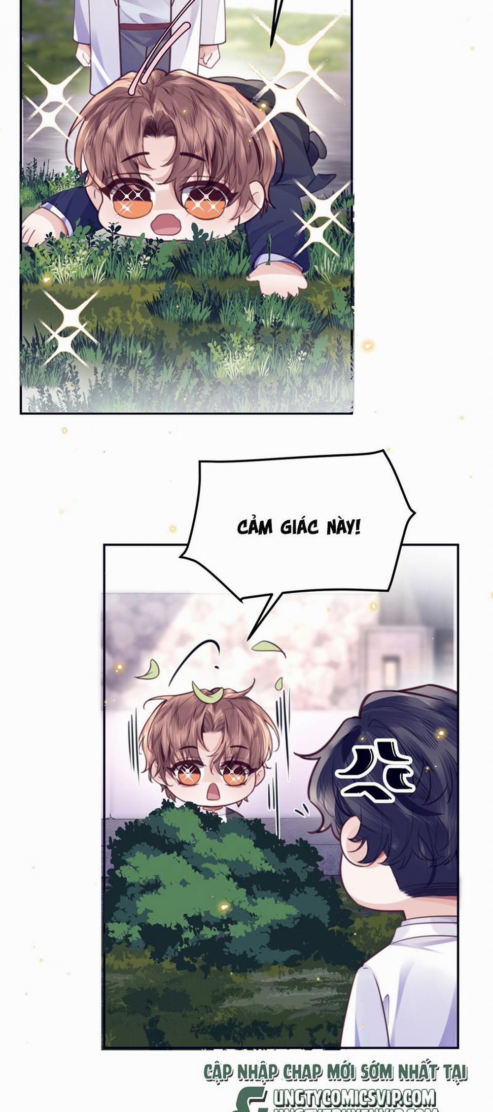 Tổng Tài Định Chế Tư Nhân 84 trang 12