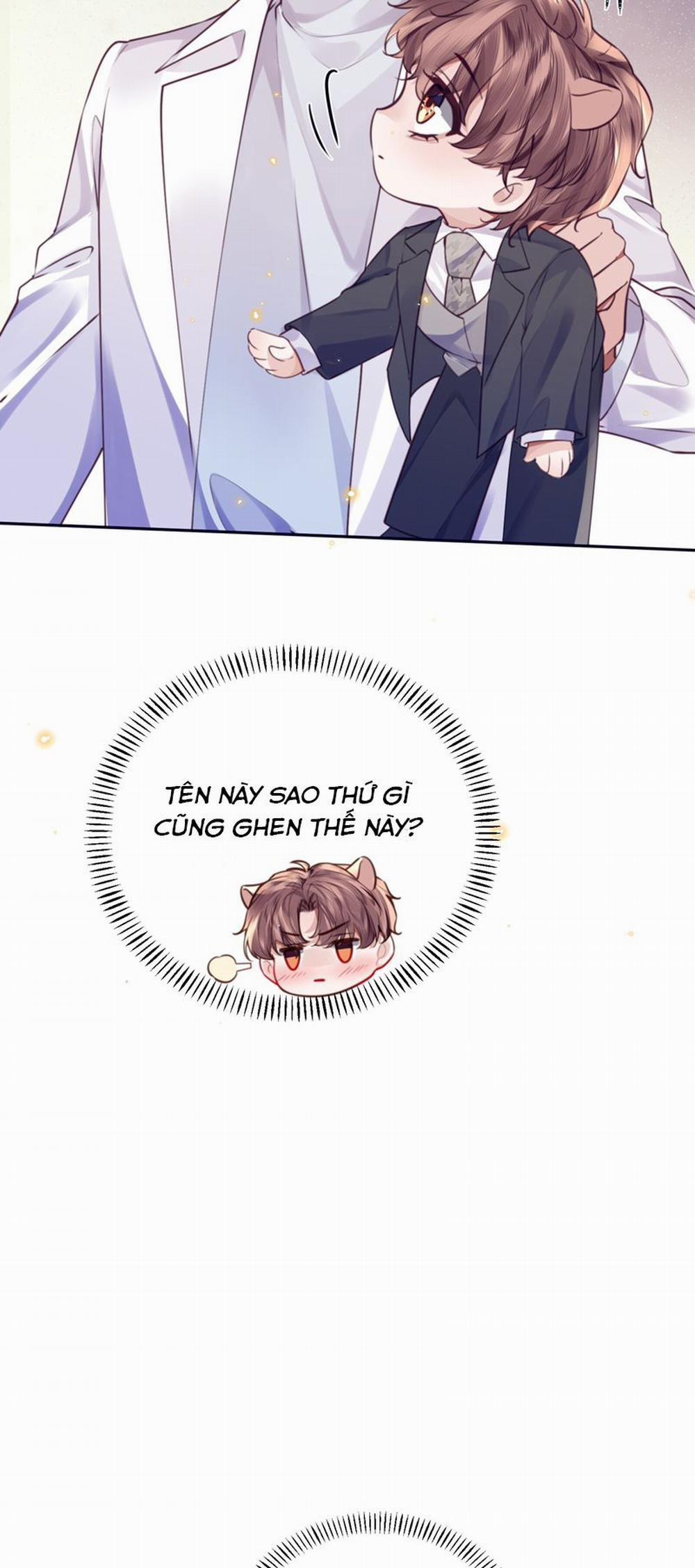 Tổng Tài Định Chế Tư Nhân 84 trang 14