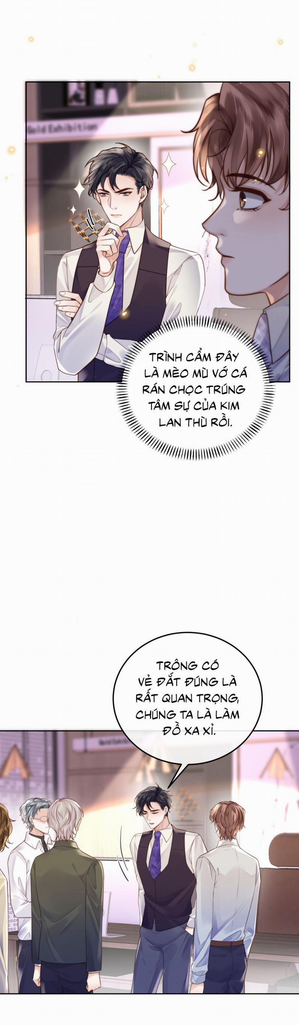 Tổng Tài Định Chế Tư Nhân 95 trang 21