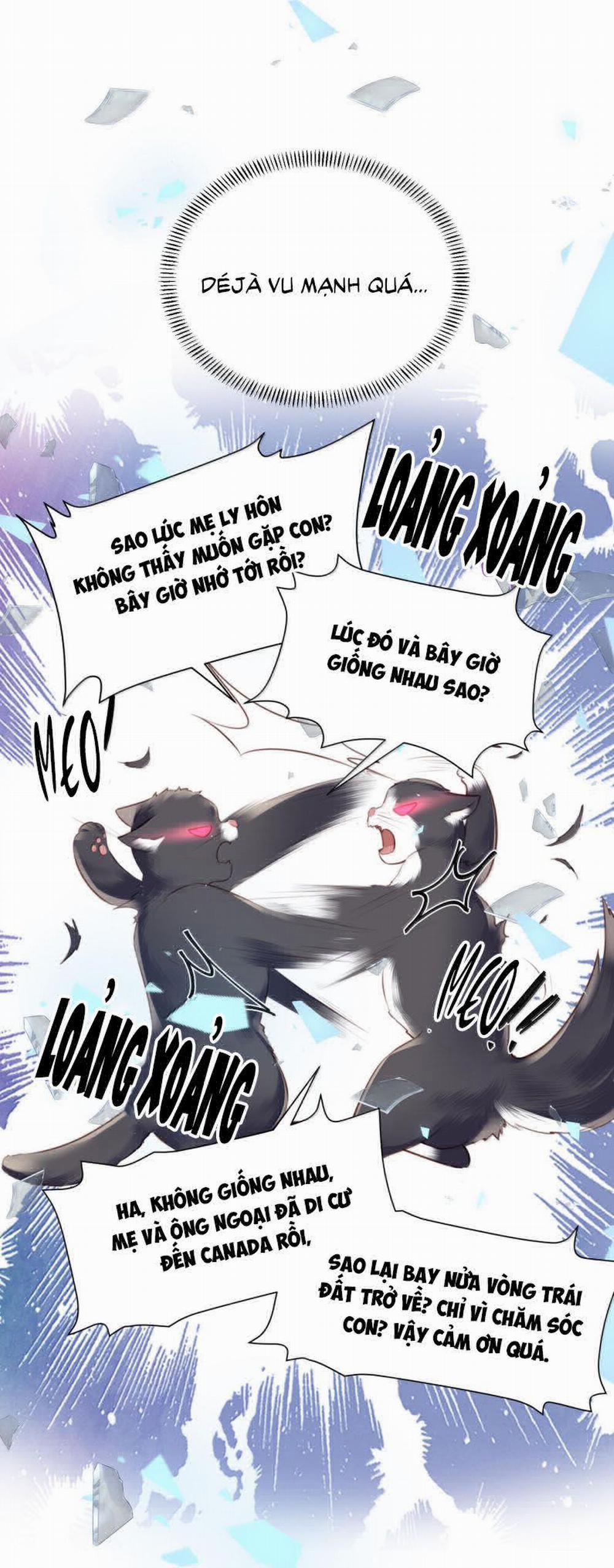 Tổng Tài Định Chế Tư Nhân 99 trang 17