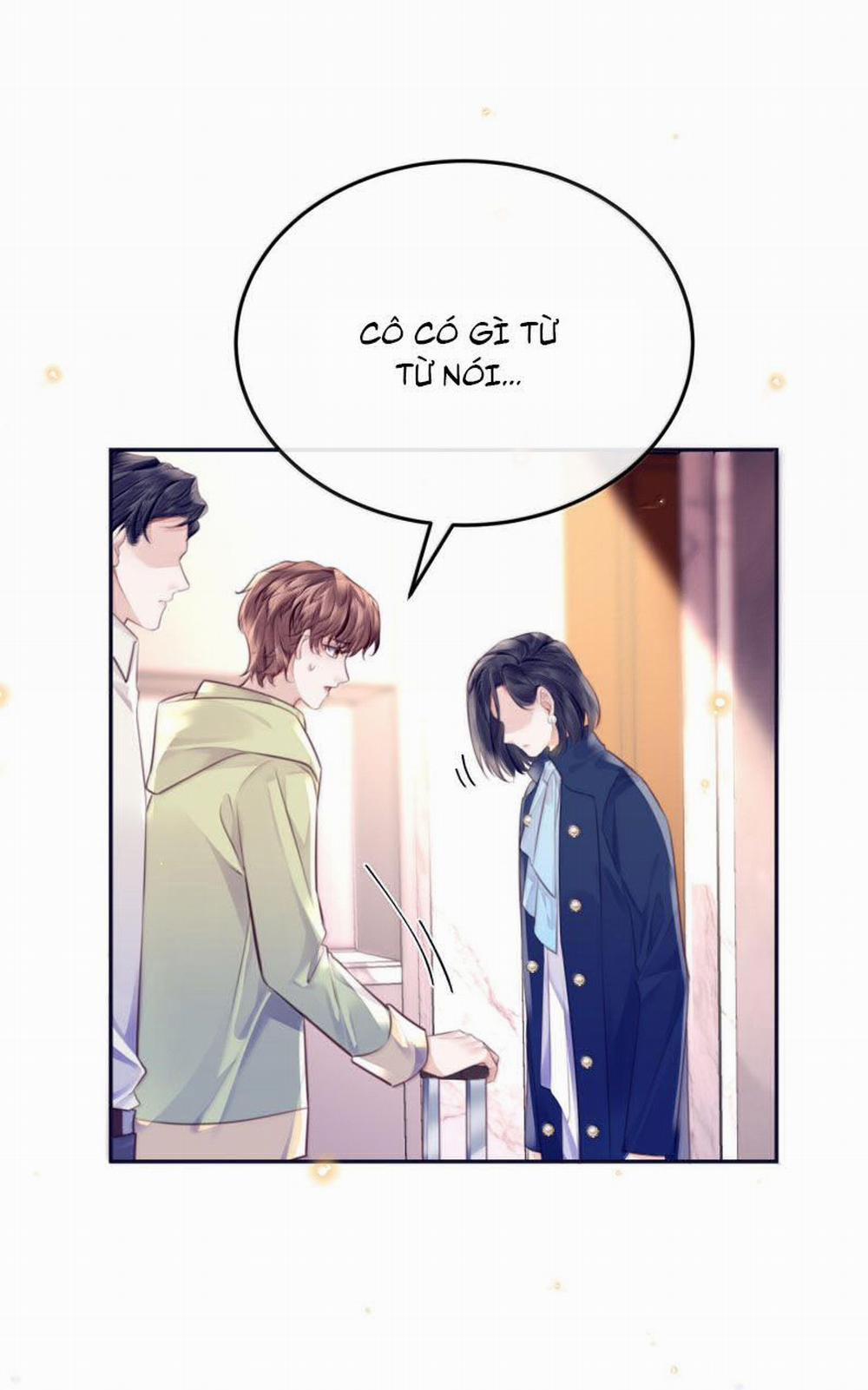 Tổng Tài Định Chế Tư Nhân 99 trang 21