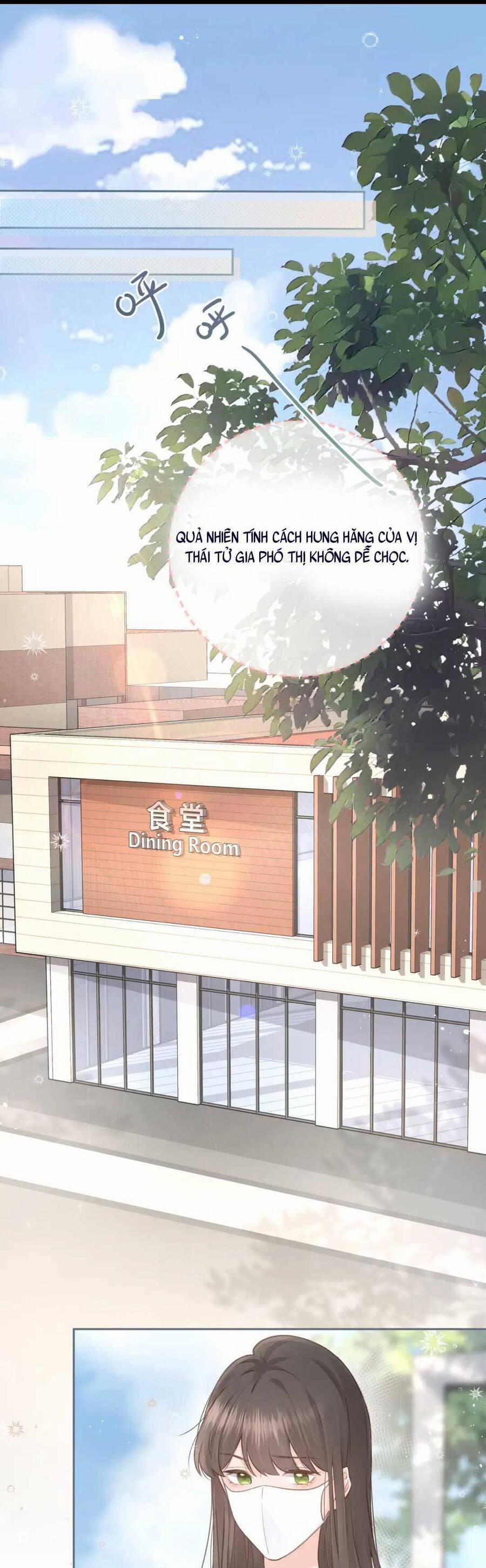 Tổng Tài Đuổi Vợ Lại Khóc Lóc Cầu Xin Vợ Quay Lại 4 trang 1