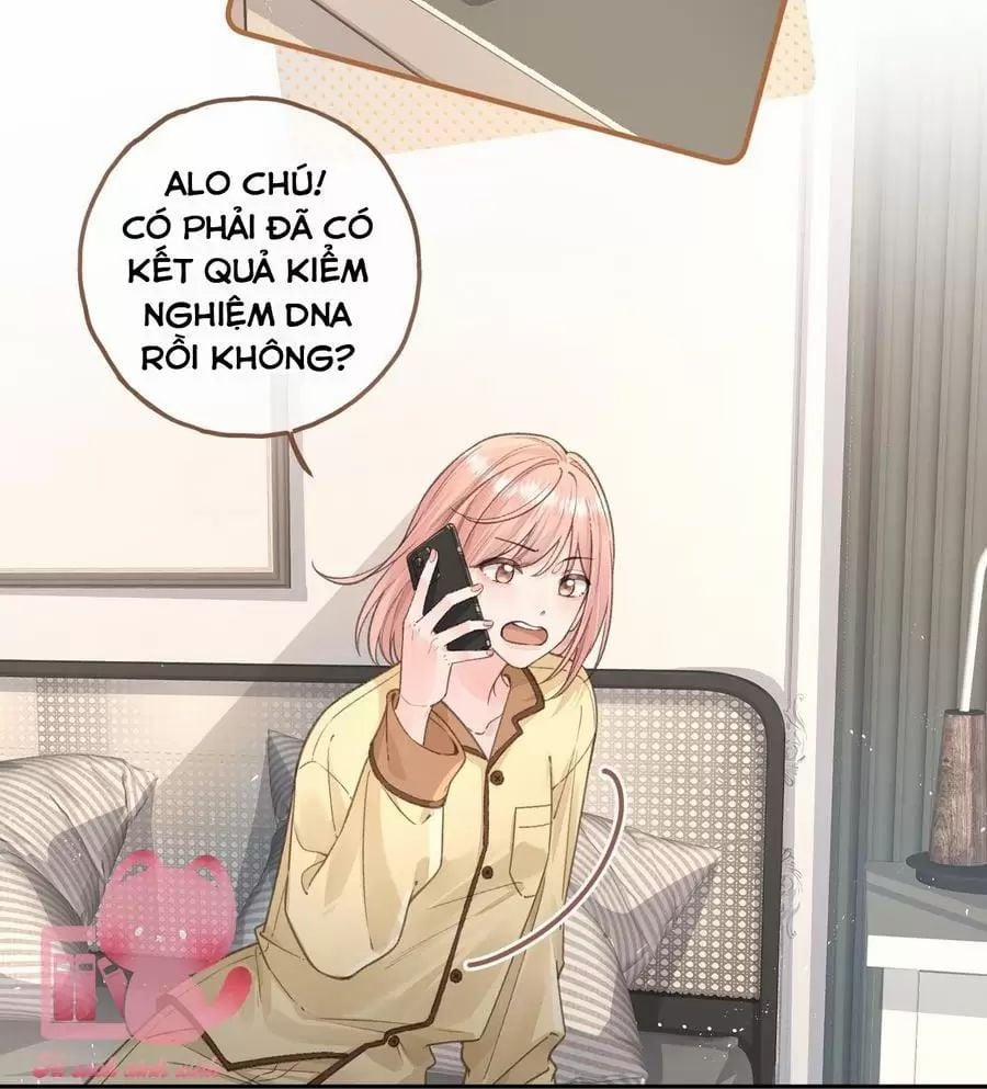 Tổng Tài Đuổi Vợ Lại Khóc Lóc Cầu Xin Vợ Quay Lại 67 trang 3