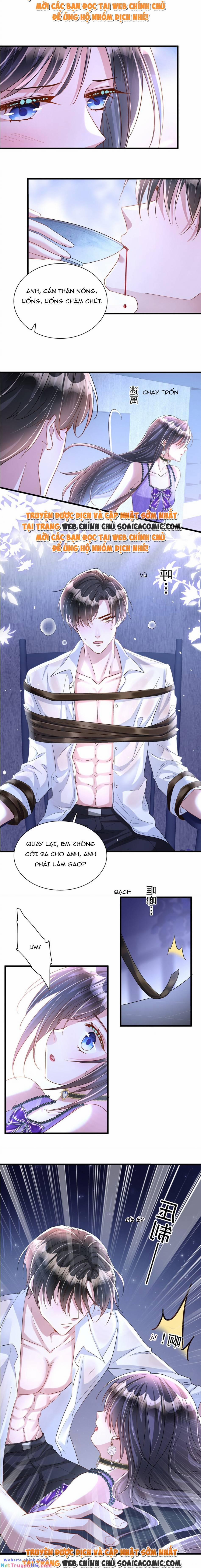 Tổng Tài Huyết Tộc Cực Sủng Cô Vợ Mỹ Nhân Ngư 105 trang 1