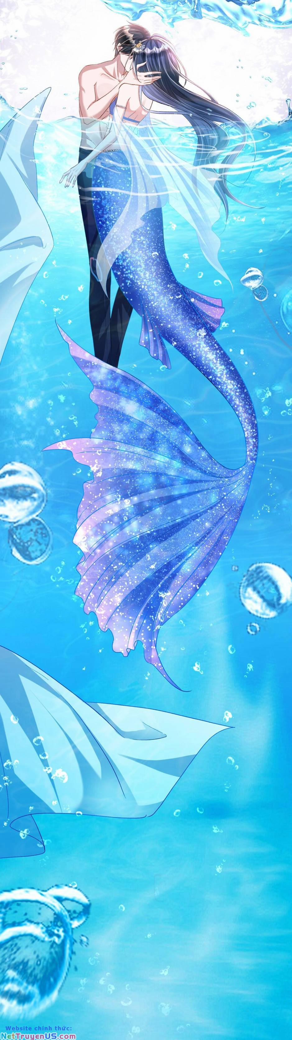 Tổng Tài Huyết Tộc Cực Sủng Cô Vợ Mỹ Nhân Ngư 105 trang 11